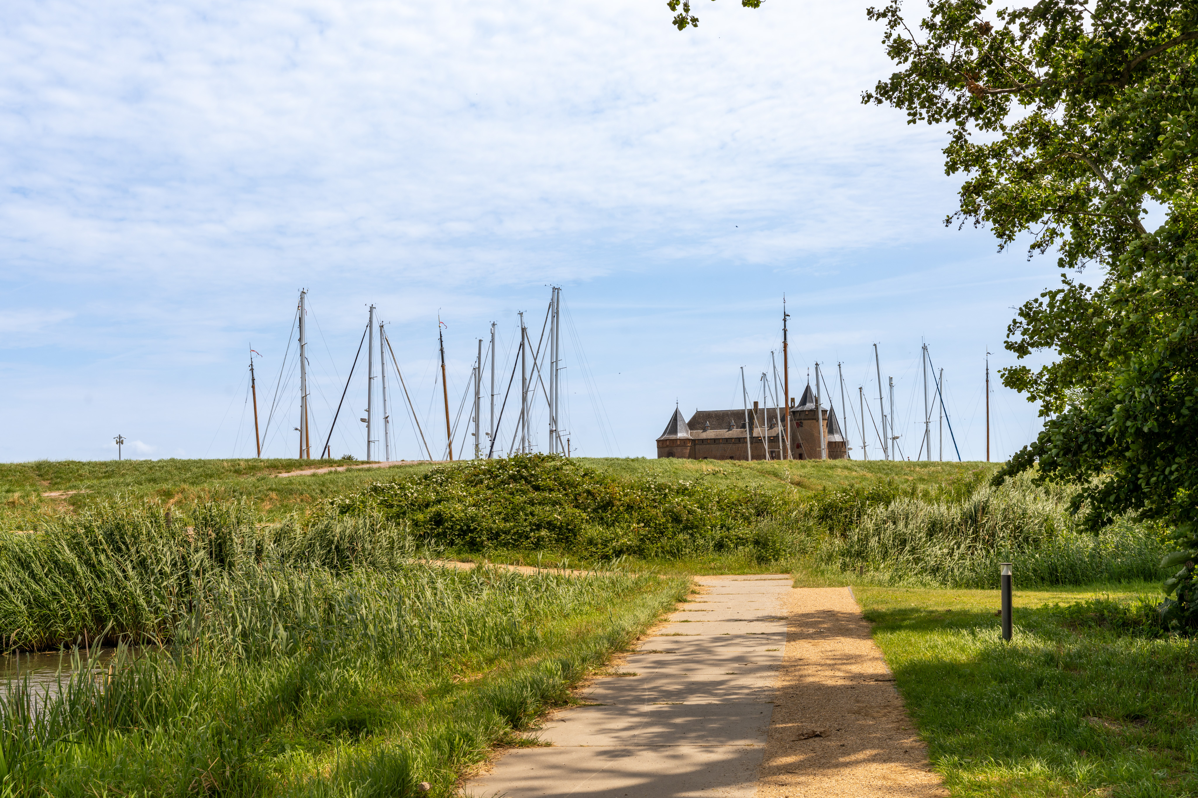 Muiden